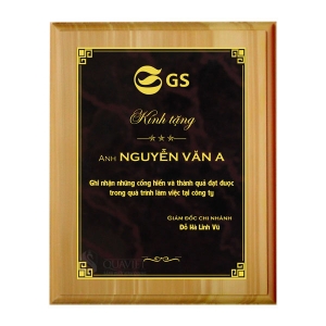 Kỷ Niệm Chương  (7)