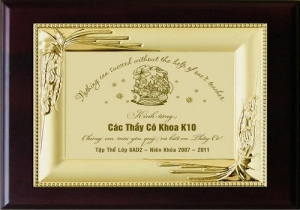Kỷ Niệm Chương  (8)