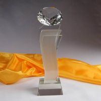 Cup pha le Kim cuong