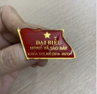 Huy hiệu lá cờ đại hội - HH08