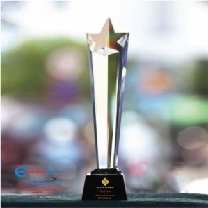 Kỷ Niệm Chương - MS: 31