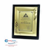 BẢNG VINH DANH - MS: 41