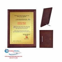 BẢNG VINH DANH - MS: 29