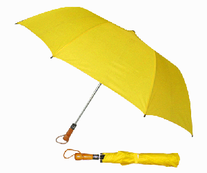 Ô DÙ QUẢNG CÁO (3)